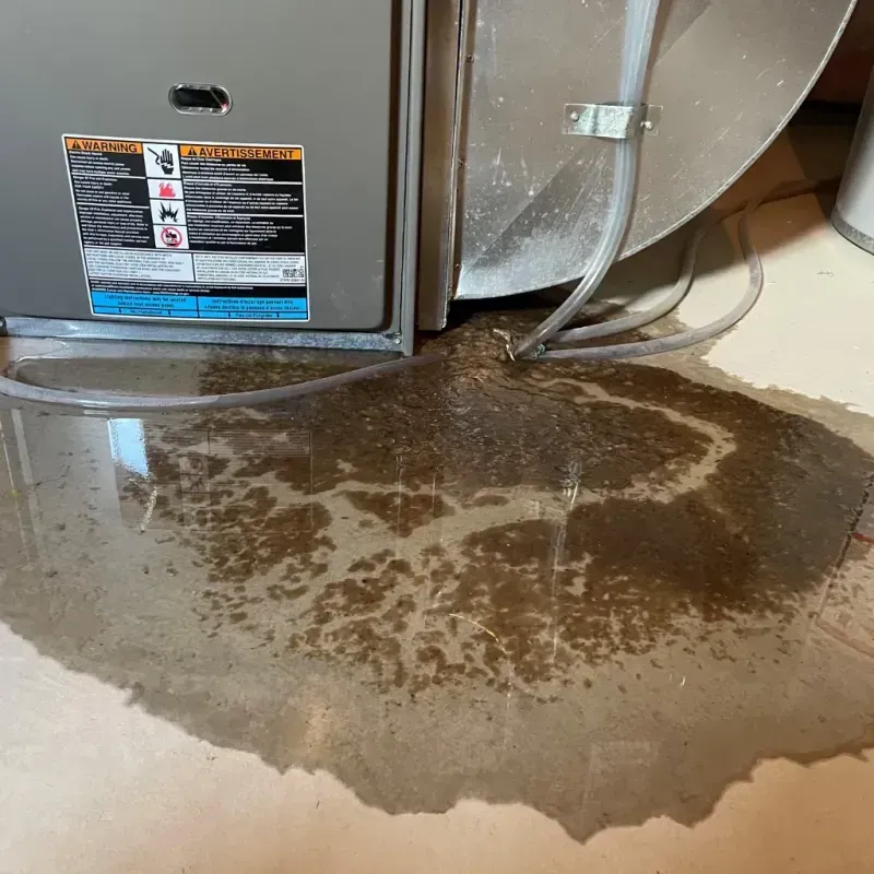 Appliance Leak Cleanup in Boulder City, NV